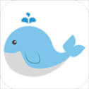 鲸落文案app